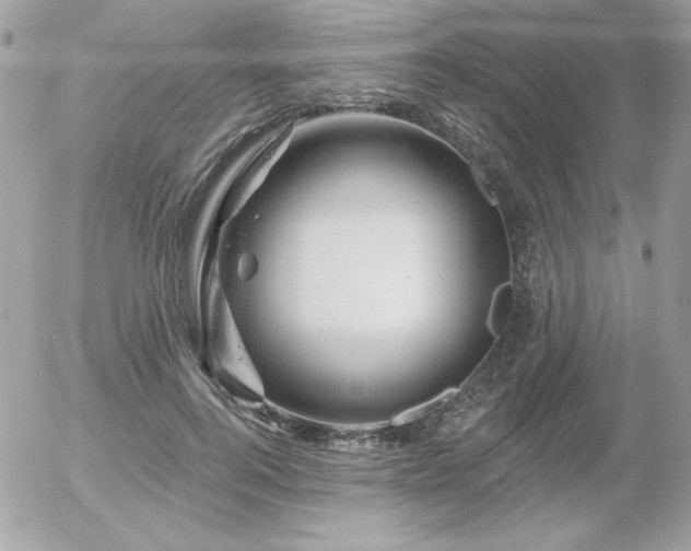 X0000056330744200508261220