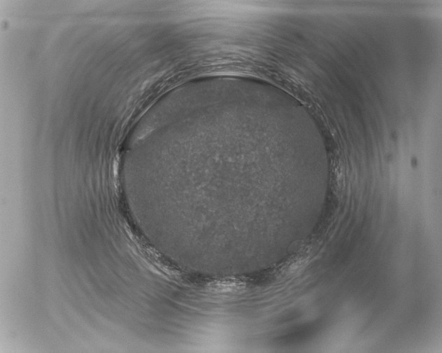 X0000056330745200508261220