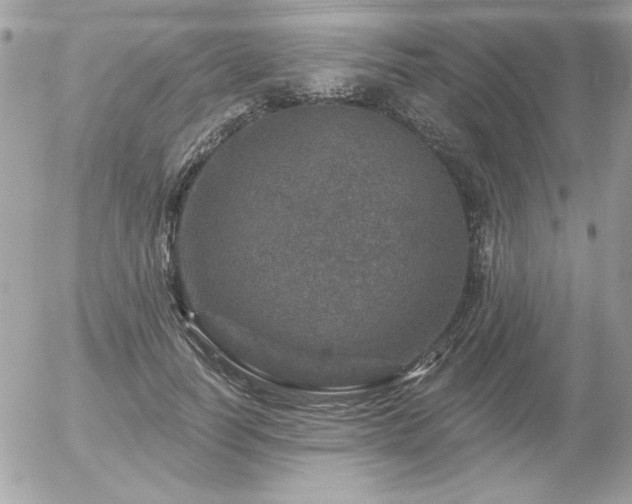 X0000056330746200508261220