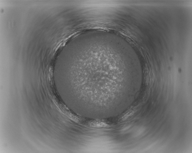 X0000056330747200508261220