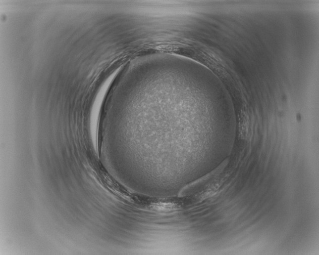 X0000056330748200508261220