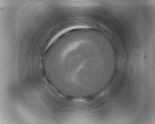 X0000056330749200508261220