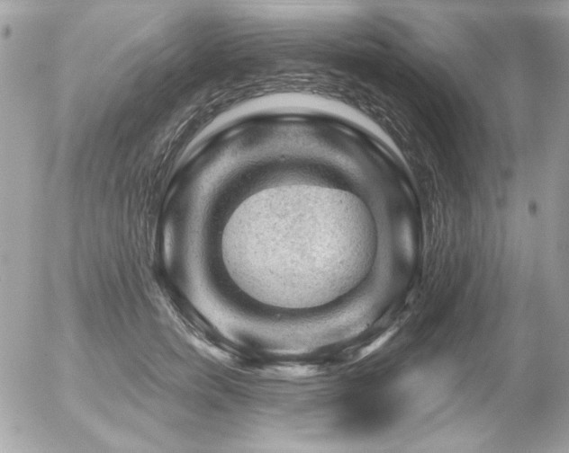 X0000056330750200508261220