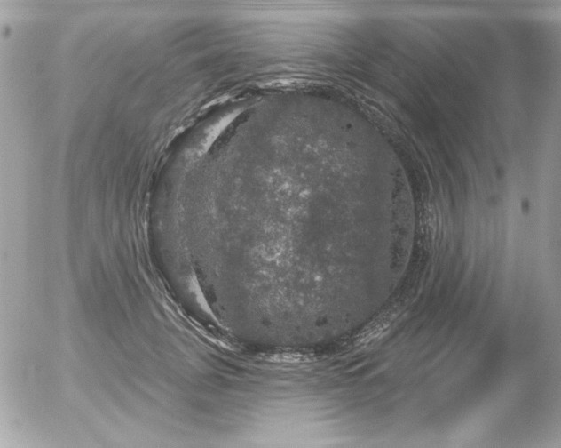 X0000056330751200508261220