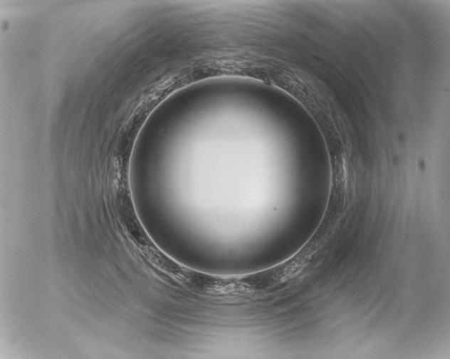 X0000056330752200508261220