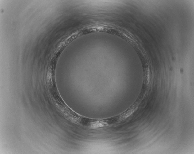 X0000056330754200508261220