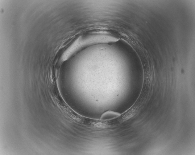 X0000056330755200508261220