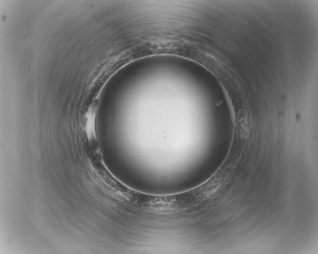 X0000056330756200508261220