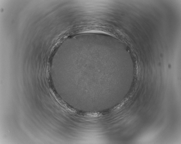 X0000056330757200508261220