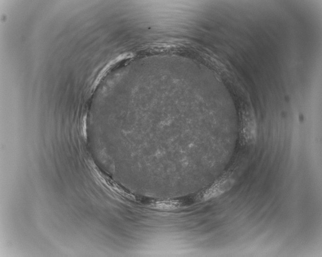 X0000056330758200508261220