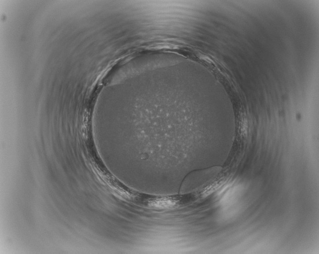 X0000056330759200508261220