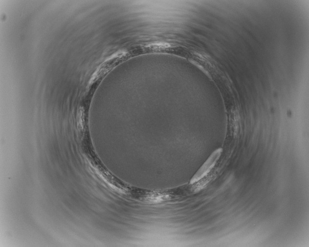 X0000056330760200508261220