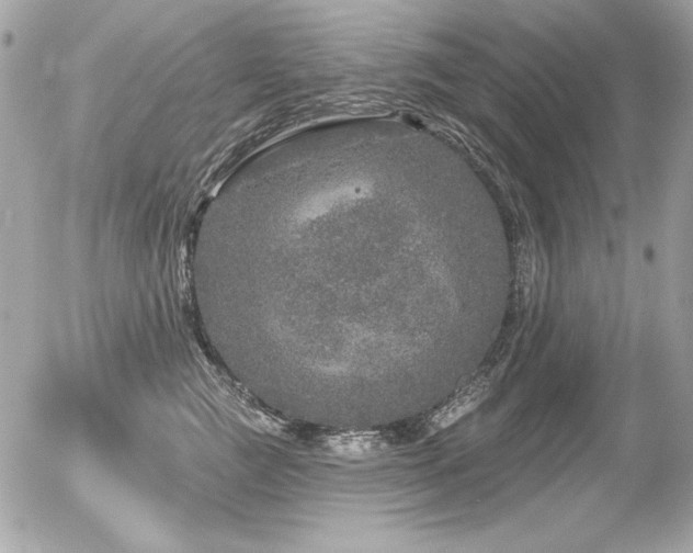 X0000056330761200508261220