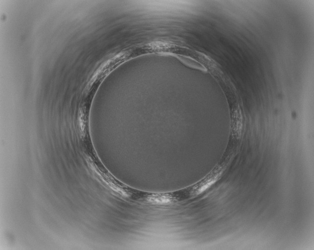 X0000056330762200508261220