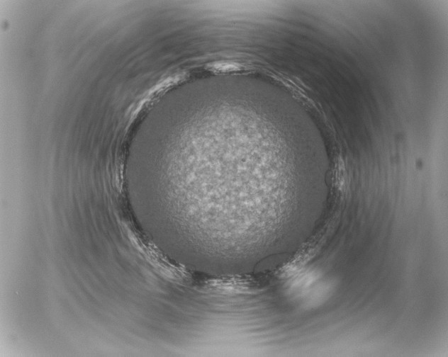 X0000056330763200508261220