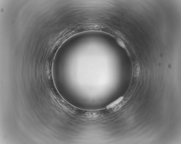 X0000056330764200508261220