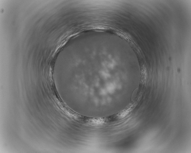 X0000056330765200508261220