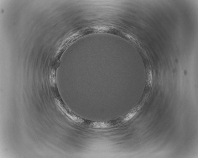 X0000056330766200508261220