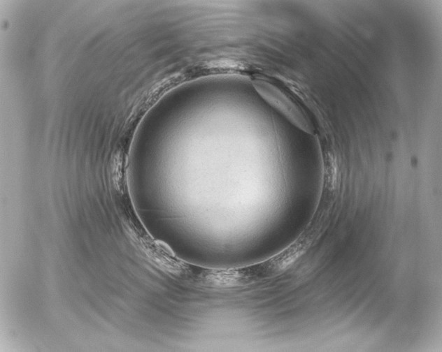 X0000056330767200508261220