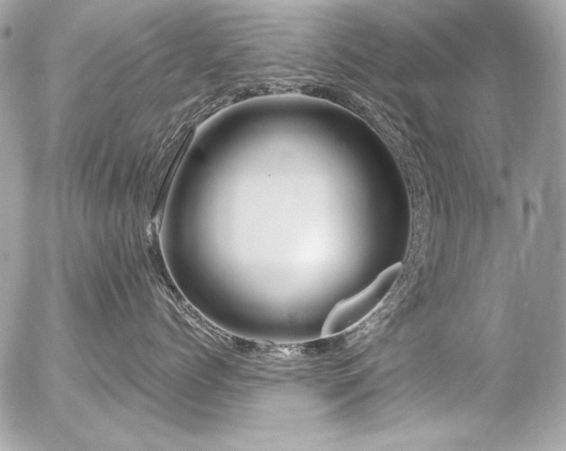 X0000056330768200508261220