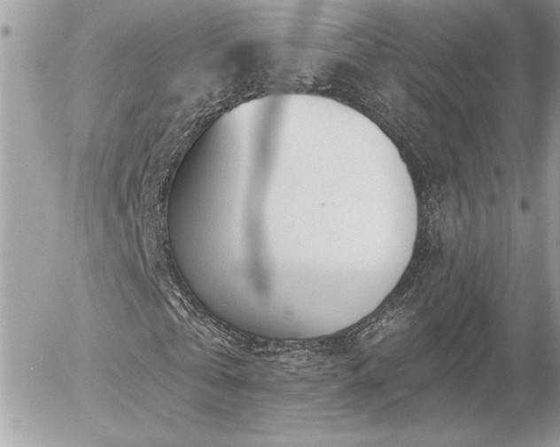 X0000056330769200508261219