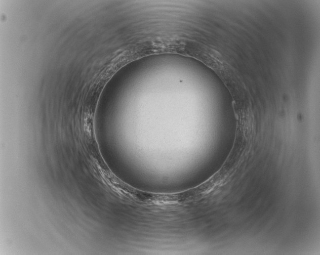 X0000056330770200508261219