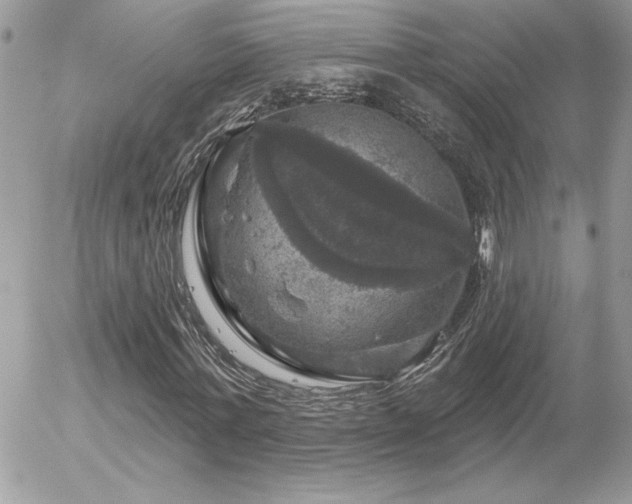 X0000056330771200508261219