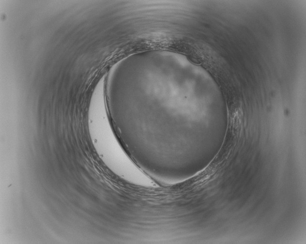 X0000056330772200508261219