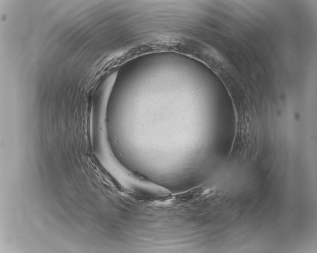 X0000056330773200508261219