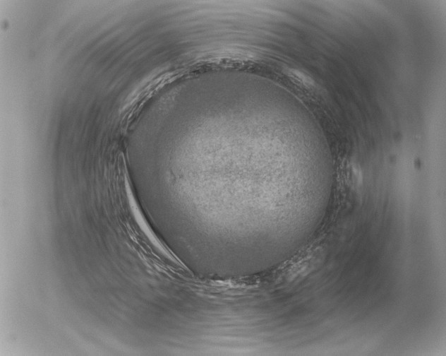 X0000056330774200508261219