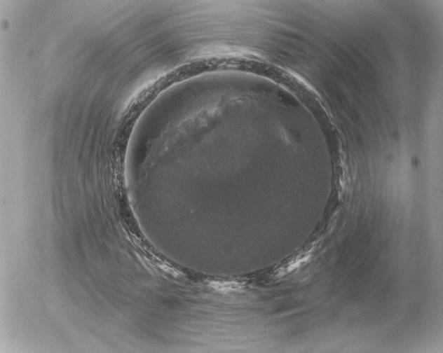 X0000056330775200508261219