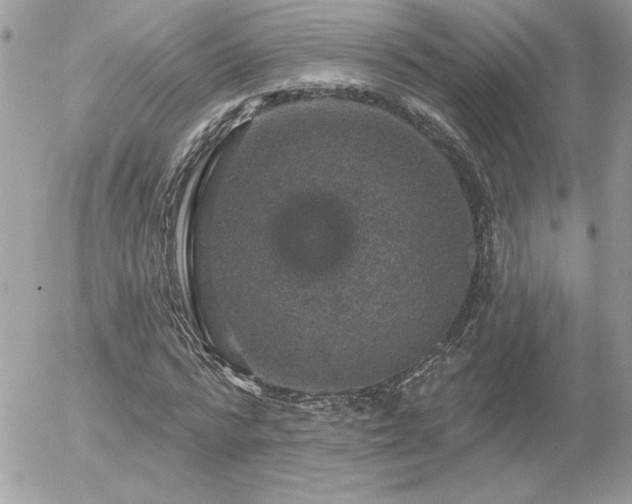 X0000056330776200508261219