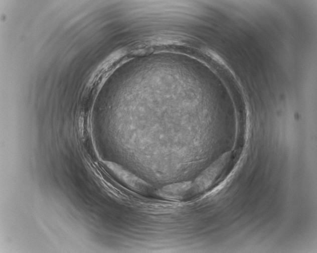 X0000056330777200508261219