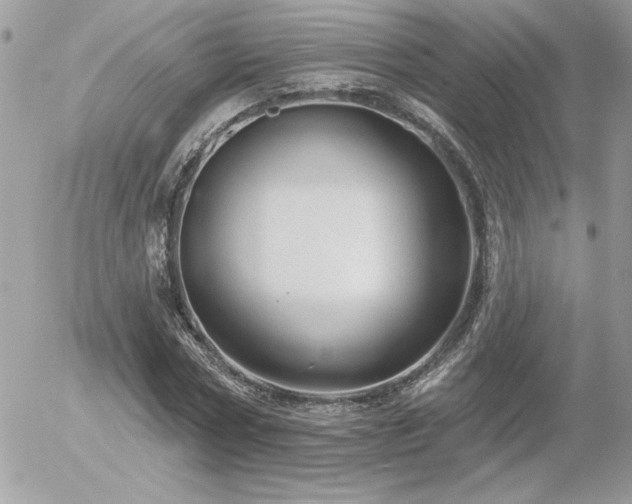 X0000056330778200508261219