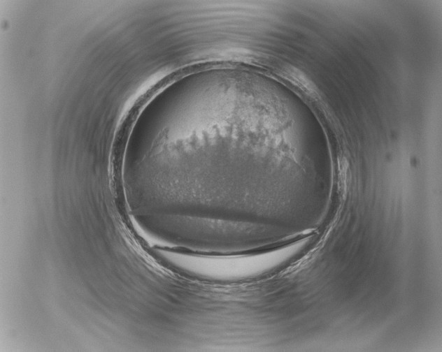 X0000056330780200508261219