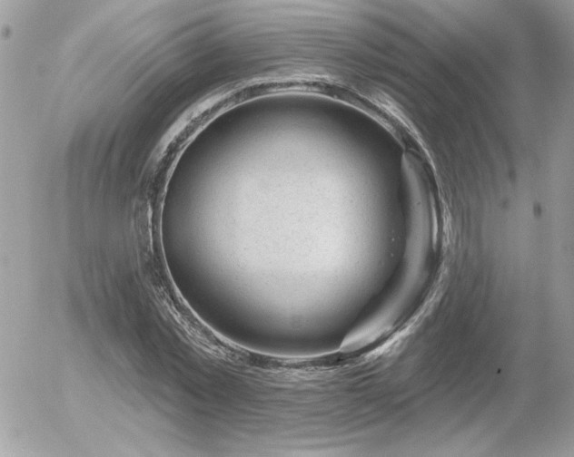 X0000056330781200508261219