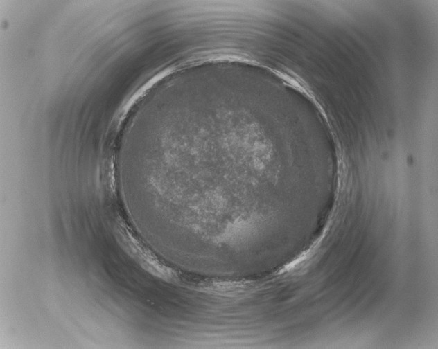 X0000056330782200508261219