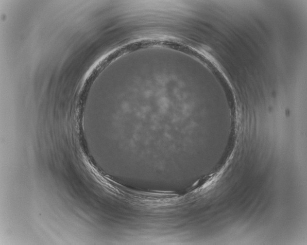 X0000056330783200508261219