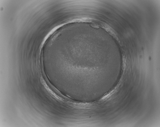 X0000056330784200508261219