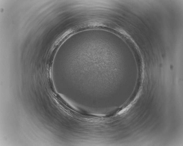 X0000056330785200508261219