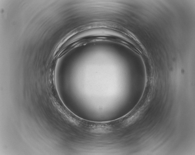 X0000056330786200508261219