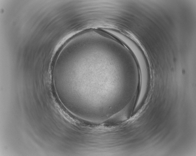 X0000056330787200508261219