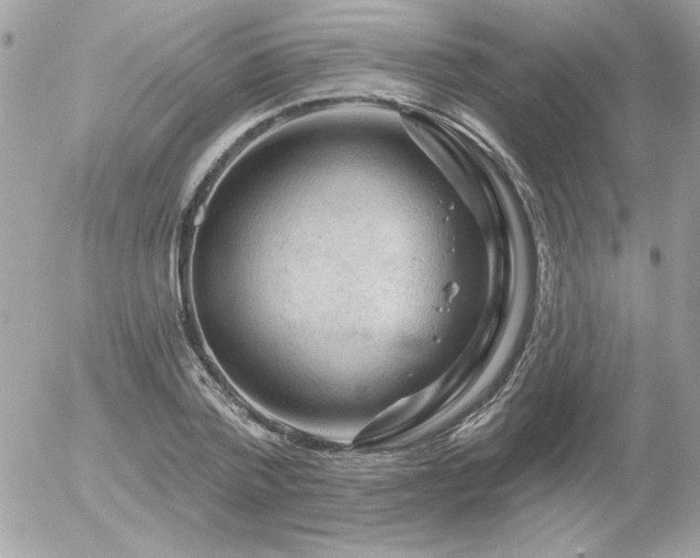 X0000056330788200508261219