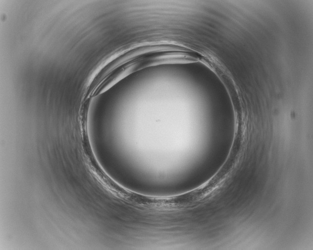 X0000056330789200508261219