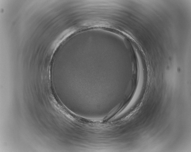 X0000056330790200508261219