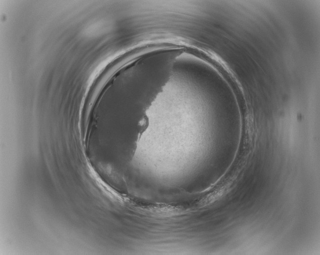 X0000056330791200508261219