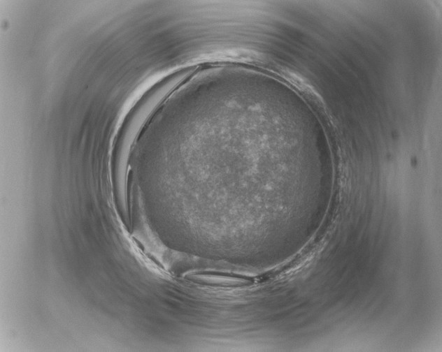 X0000056330792200508261219