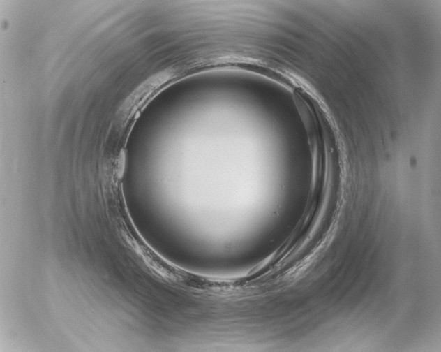 X0000056330793200508261219