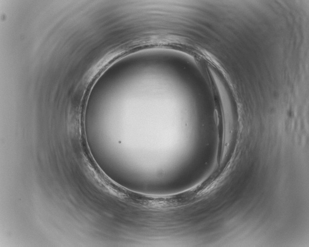 X0000056330794200508261219