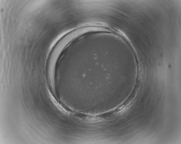 X0000056330795200508261219